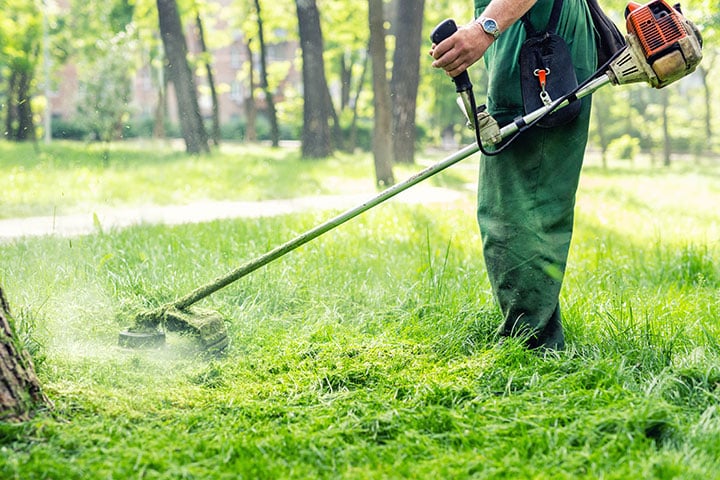 String Trimmer (2-Stroke) Maintenance Training Online